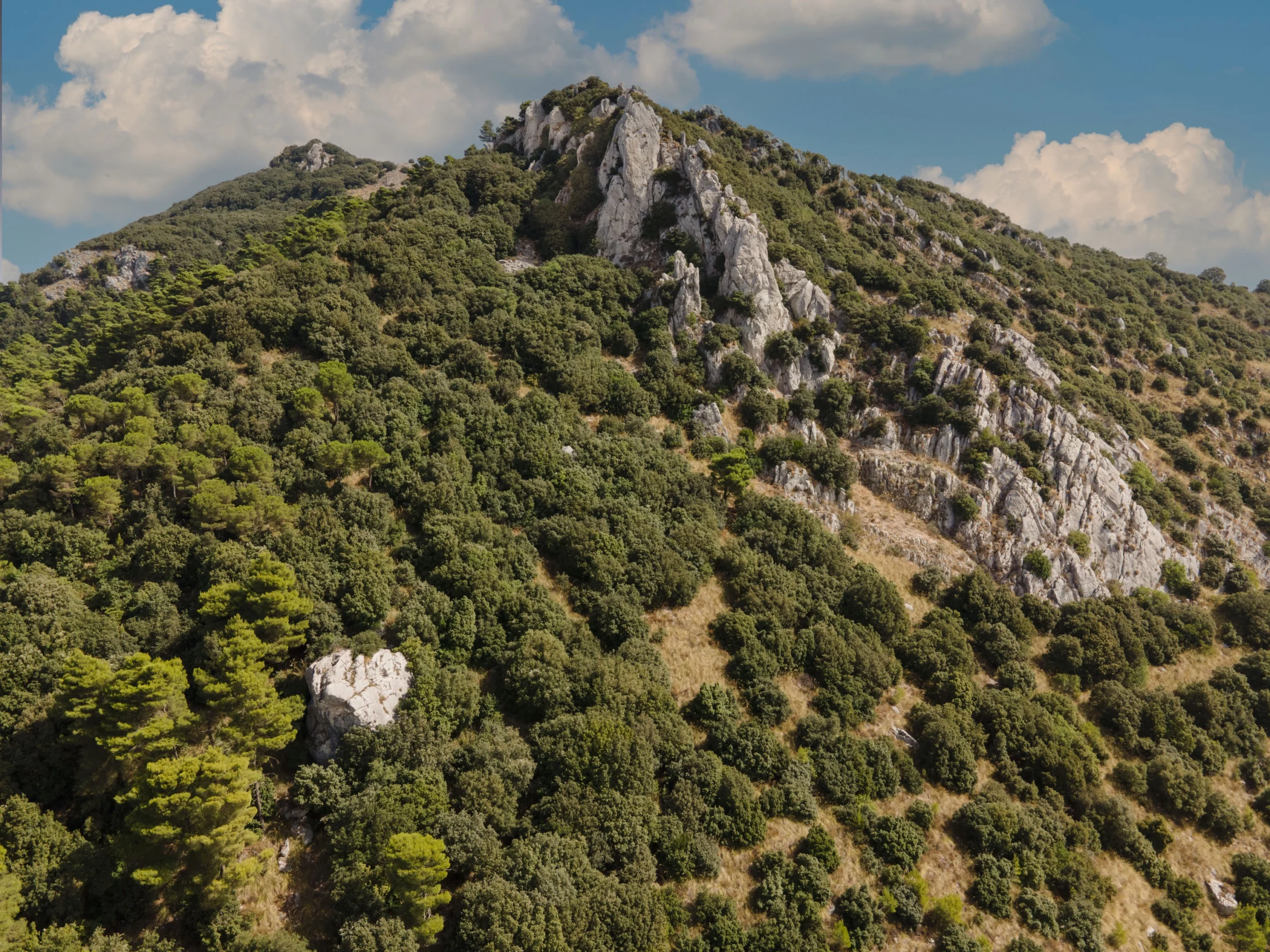 Foto di Sandro Scalia