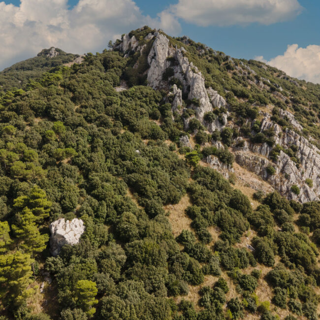 Pizzo della Rondine - Foto di Sandro Scalia