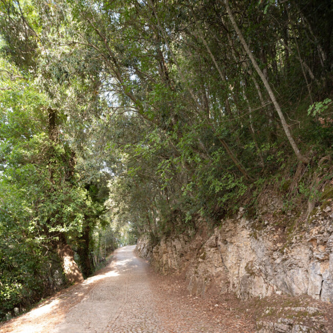 Percorso di accesso all'Eremo di Santa Rosalia - Foto di Sandro Scalia